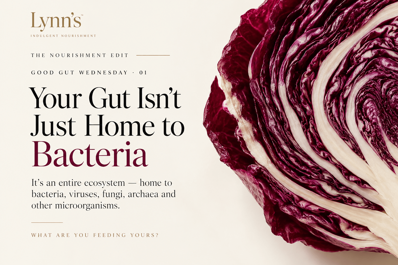 Your Gut Isn’t Just Home to Bacteria