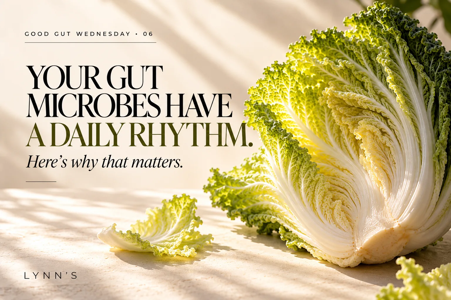 Your Gut Microbes Have a Daily Rhythm. Here’s Why That Matters.